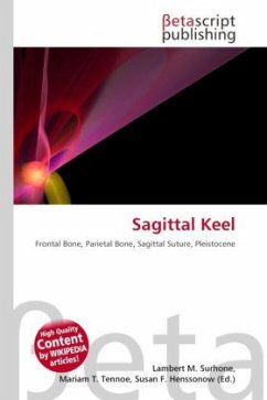 Sagittal Keel