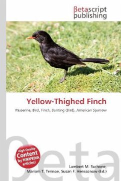 Yellow-Thighed Finch