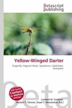 Yellow-Winged Darter