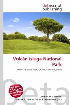 Volcán Isluga National Park