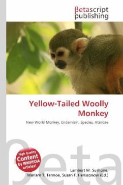 Yellow-Tailed Woolly Monkey