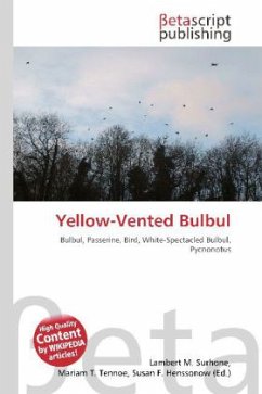 Yellow-Vented Bulbul