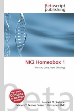 NK2 Homeobox 1