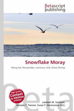 Snowflake Moray Snowflake Moray