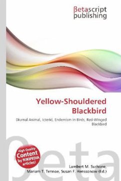 Yellow-Shouldered Blackbird