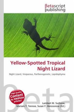 Yellow-Spotted Tropical Night Lizard