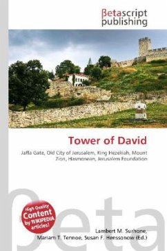 Cover Tower of David