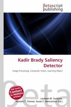 Kadir Brady Saliency Detector