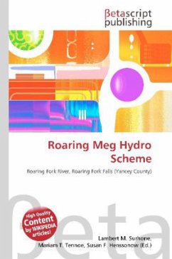 Roaring Meg Hydro Scheme