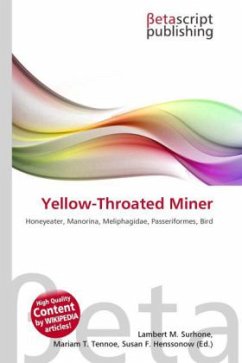 Yellow-Throated Miner