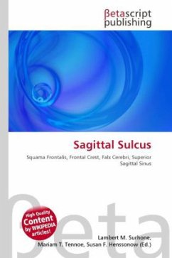 Sagittal Sulcus