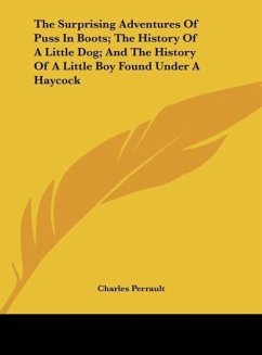 The Surprising Adventures Of Puss In Boots; The History Of A Little Dog; And The History Of A Little Boy Found Under A Haycock