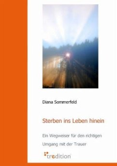 Sterben ins Leben hinein - Sommerfeld, Diana