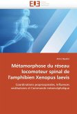 Métamorphose du réseau locomoteur spinal de l''amphibien Xenopus laevis