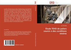 Étude TEHD de paliers soumis à des conditions sévères - BOUYER, Jean