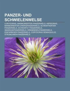 Panzer- und Schwielenwelse