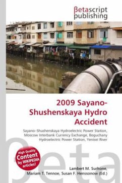 2009 Sayano-Shushenskaya Hydro Accident