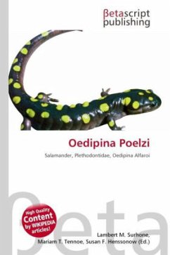 Oedipina Poelzi