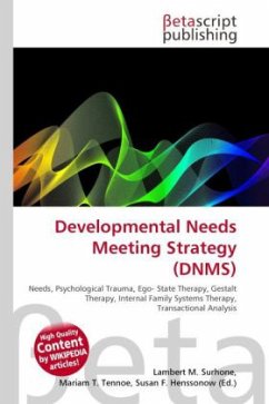 Developmental Needs Meeting Strategy (DNMS)