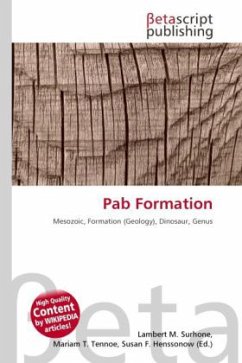 Cover Pab Formation