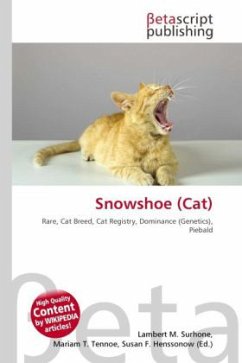Snowshoe (Cat)