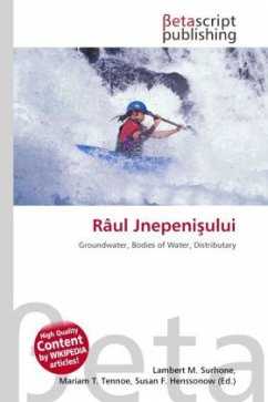 Cover Râul Jnepeni ului