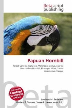 Papuan Hornbill