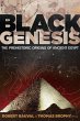 Black Genesis - Bild 1