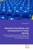 Selected antecedents and consequences of team identity