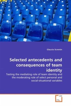 Selected antecedents and consequences of team identity - Scremin, Glaucio
