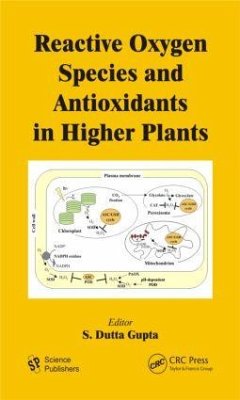 Reactive Oxygen Species and Antioxidants in Higher Plants