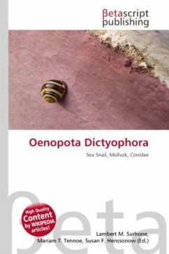 Cover Oenopota Dictyophora