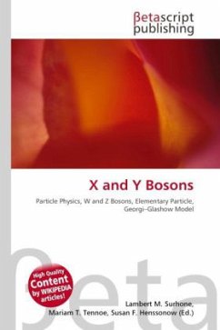 X and Y Bosons