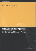 Untersuchungshaft in der anwaltlichen Praxis