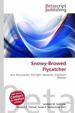 Snowy-Browed Flycatcher