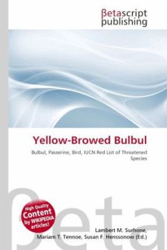 Yellow-Browed Bulbul