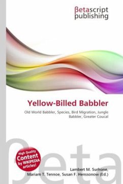 Yellow-Billed Babbler