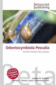 Odontocymbiola Pescalia