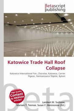 Katowice Trade Hall Roof Collapse