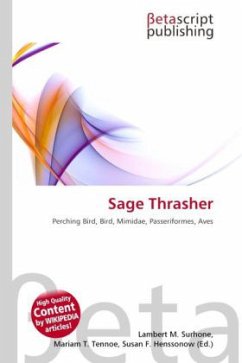 Sage Thrasher