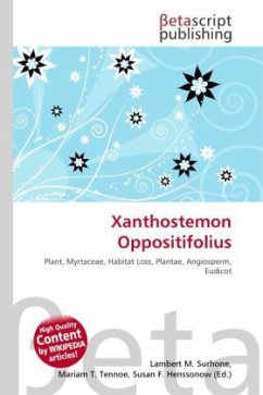 Xanthostemon Oppositifolius