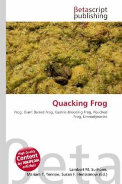 Quacking Frog