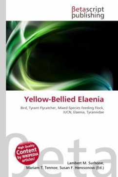 Yellow-Bellied Elaenia
