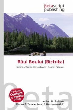 Râul Boului (Bistri a)