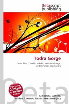 Todra Gorge