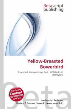 Yellow-Breasted Bowerbird