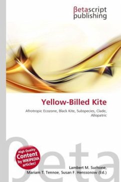 Yellow-Billed Kite