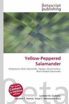 Yellow-Peppered Salamander