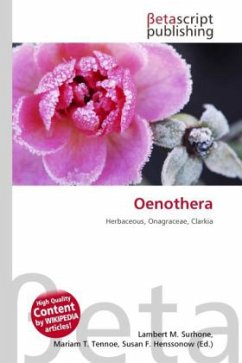 Oenothera