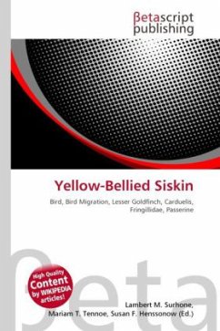 Yellow-Bellied Siskin